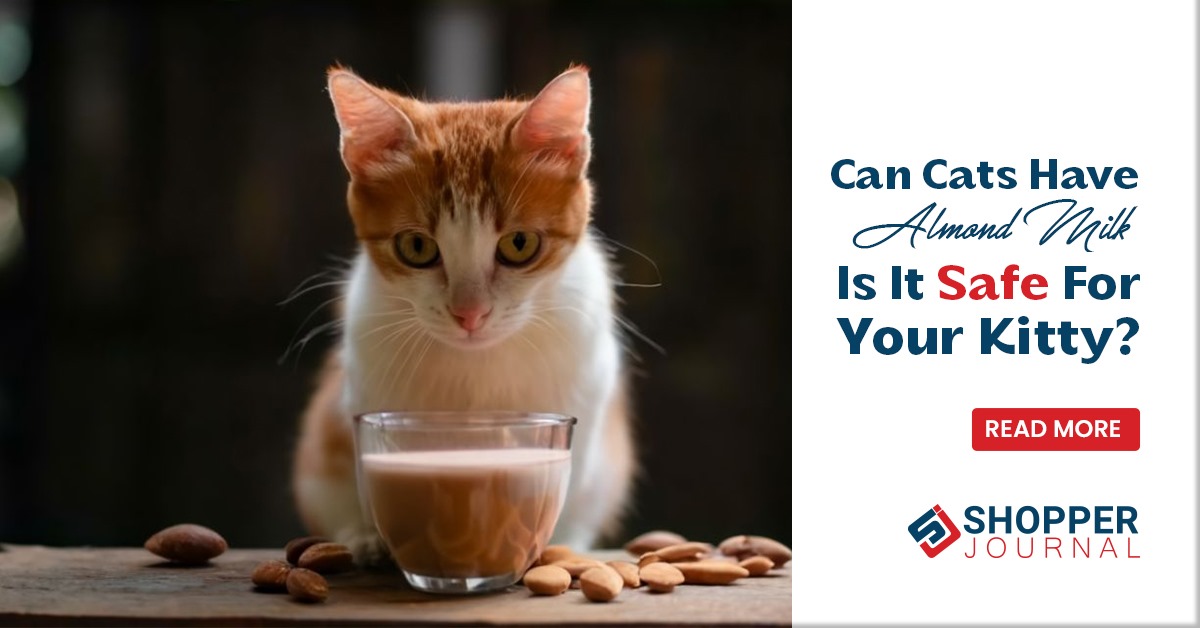 Cats Almond Milk for Nutrition