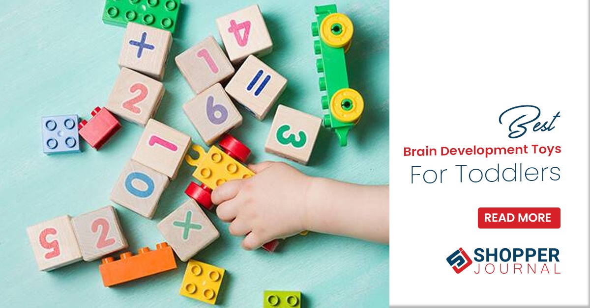 Brain Development Toys